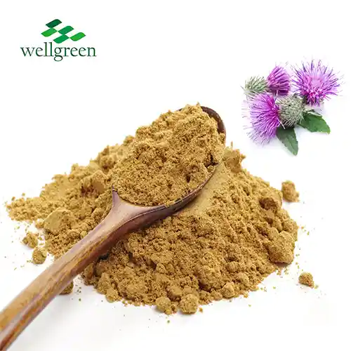 Milk Thistle Extract Powder